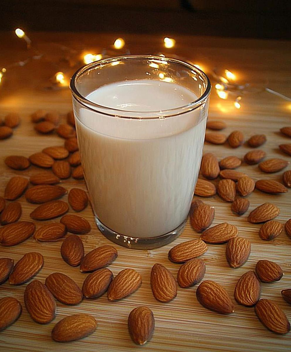 Mandelmilch selber machen vegan